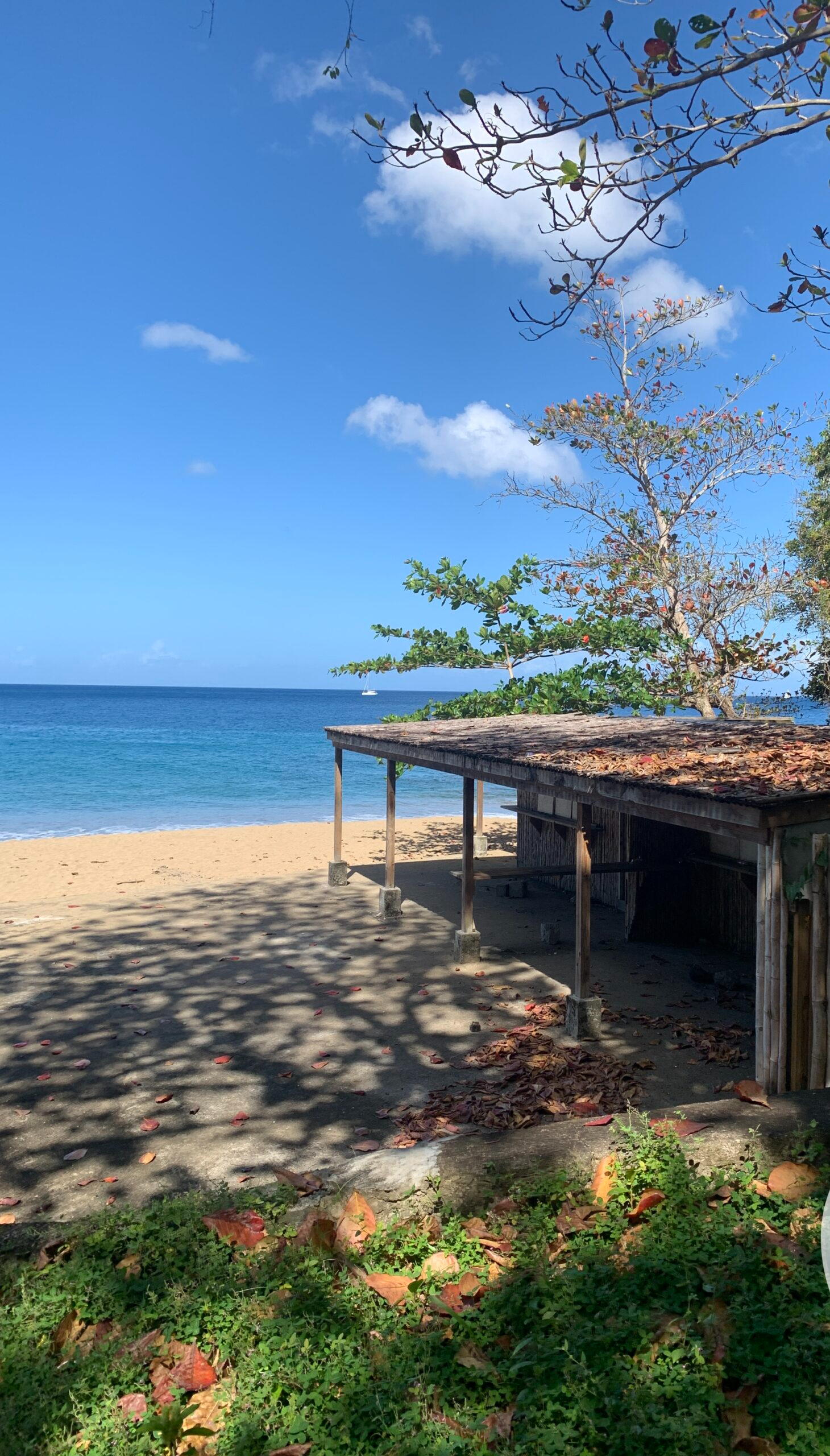 Beach Property For Sale In Anse La Raye