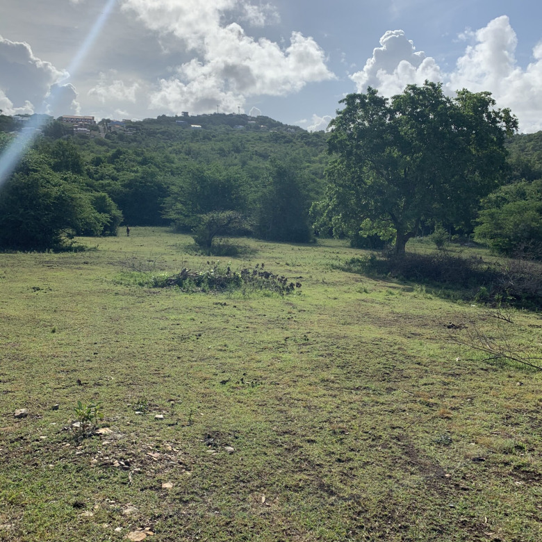 Multiple Lots For  Sale In Belle Vue