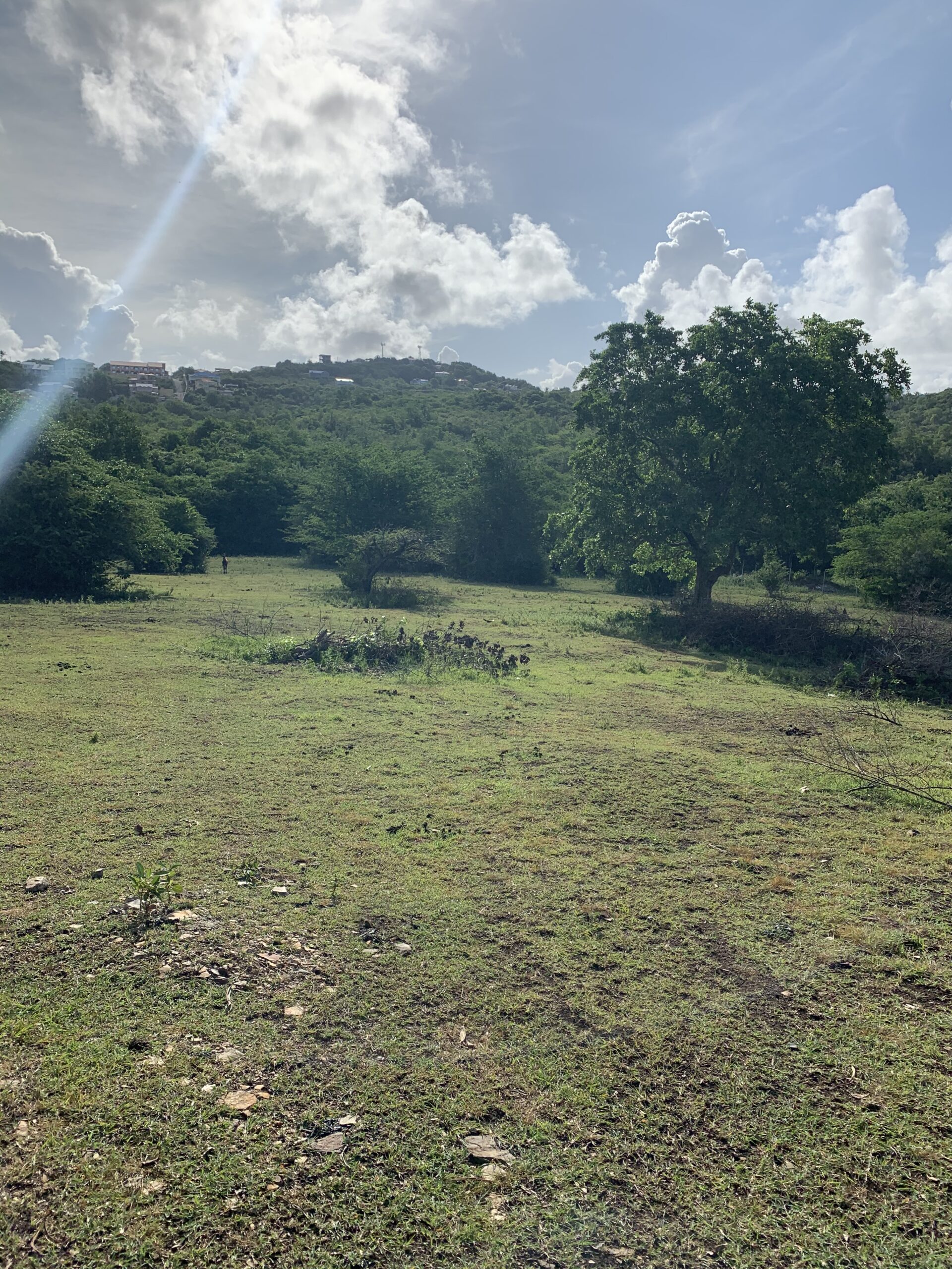 Multiple Lots For  Sale In Belle Vue