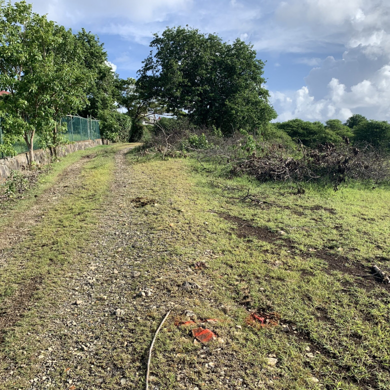 Multiple Lots For  Sale In Belle Vue