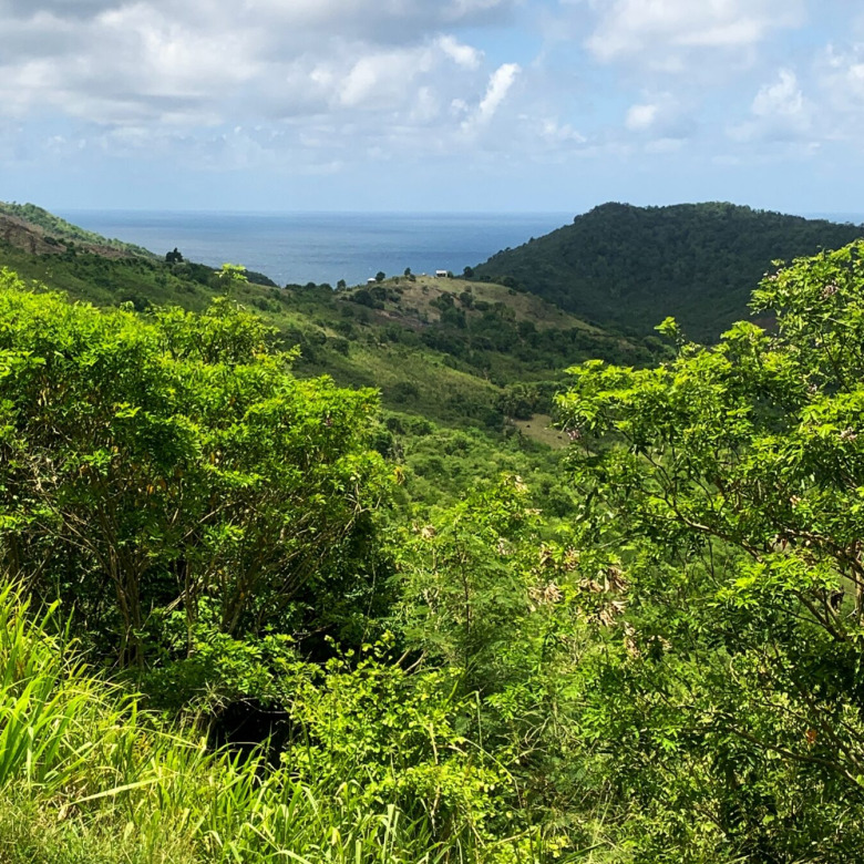 Land For Sale In Monchy With Ocean View