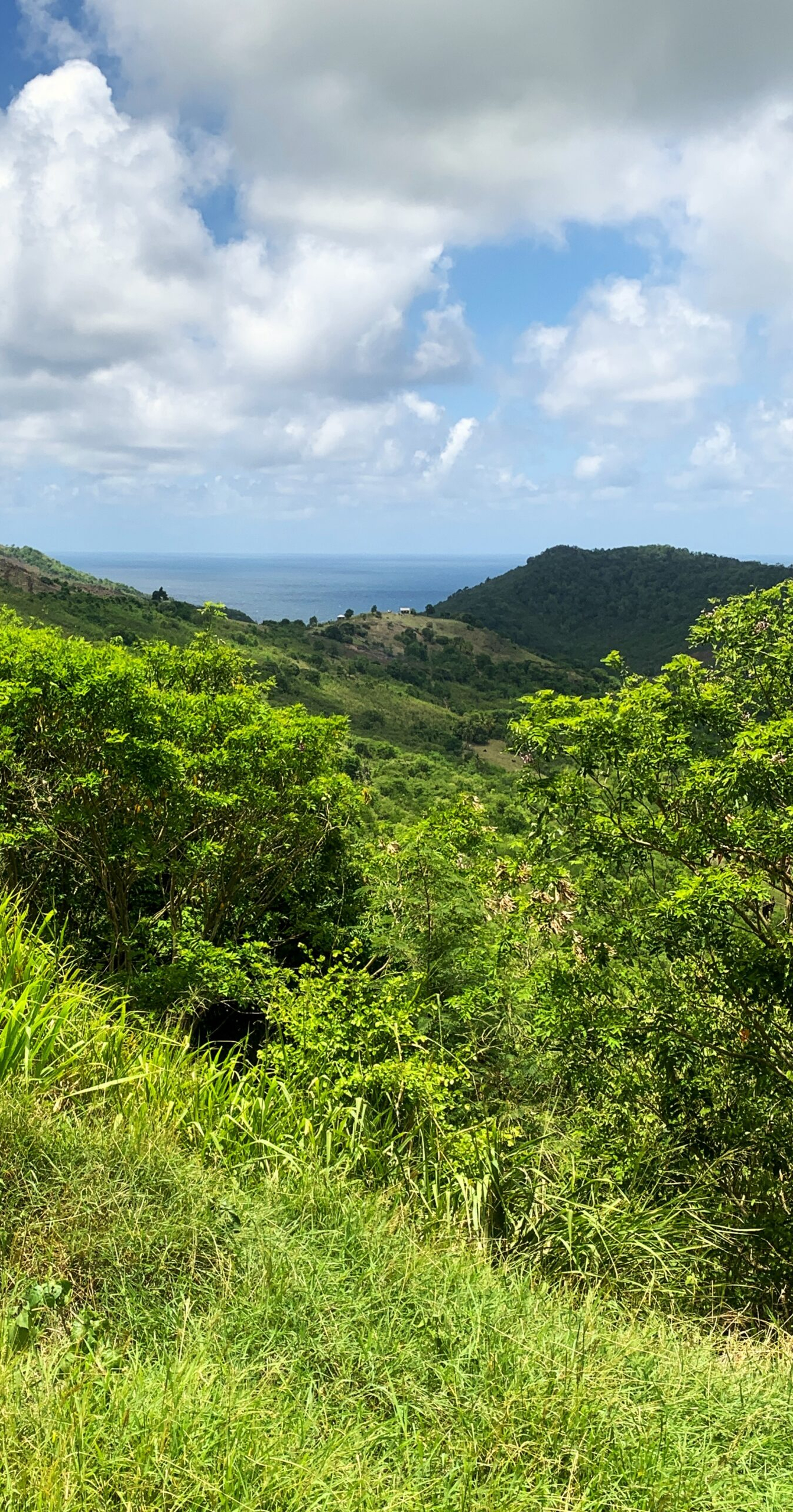 Land For Sale In Monchy With Ocean View