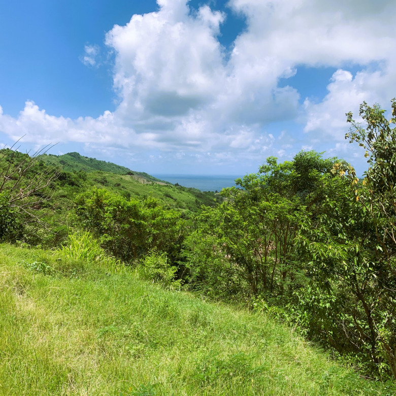 Land For Sale In Monchy With Ocean View