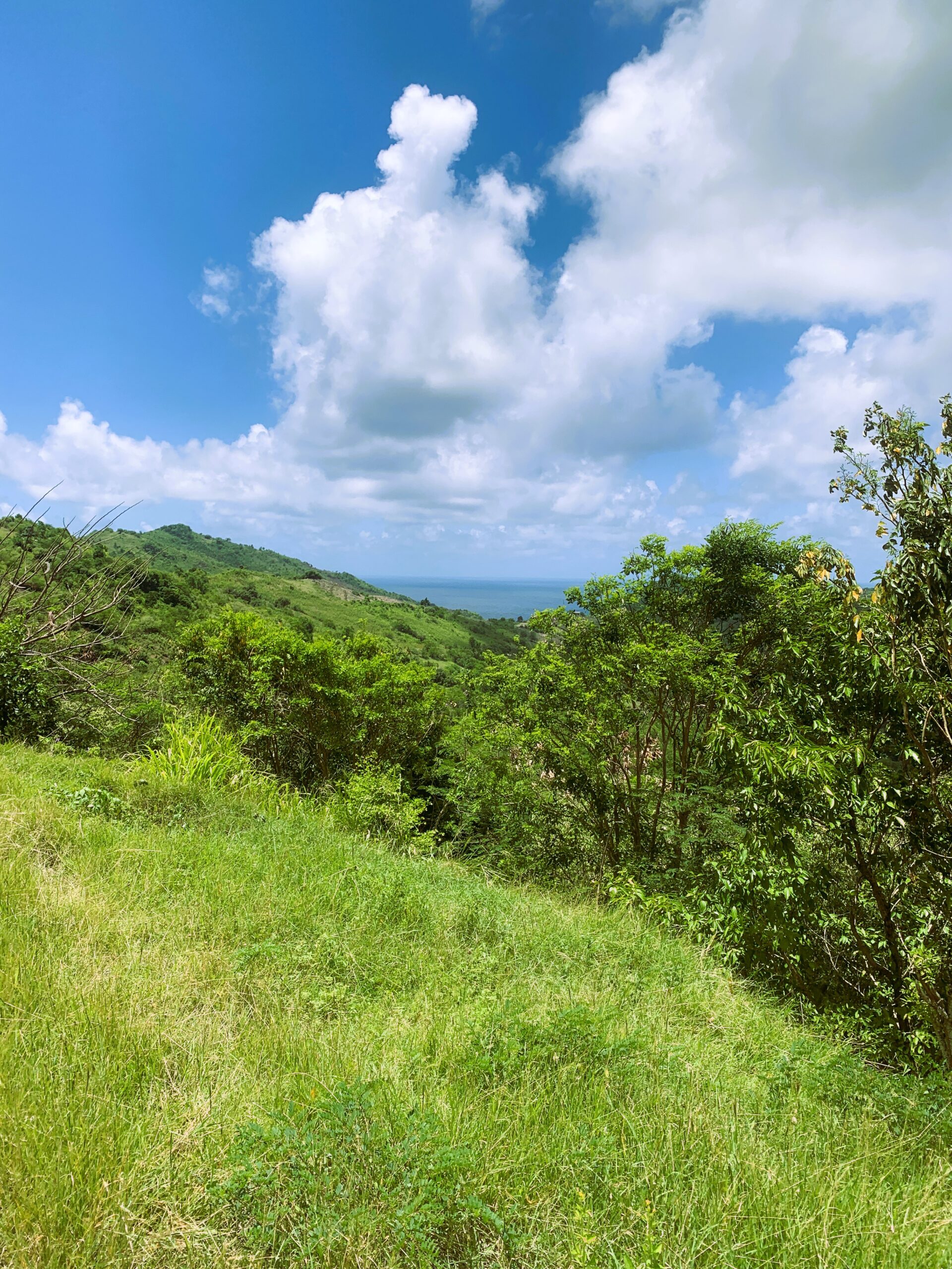 Land For Sale In Monchy With Ocean View