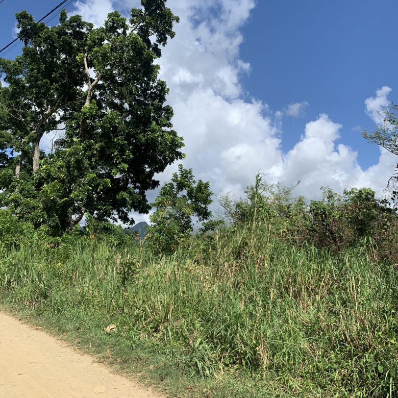 Land For Sale In Cul De Sac