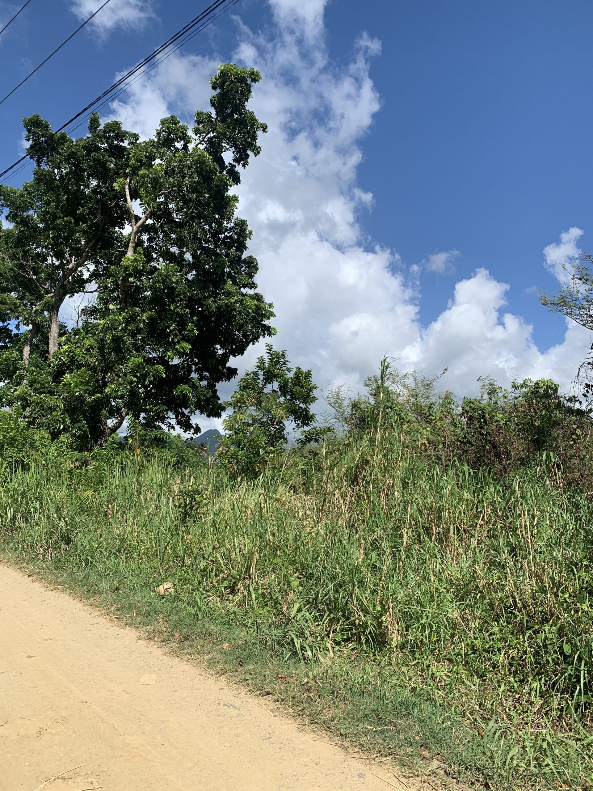 Land For Sale In Cul De Sac