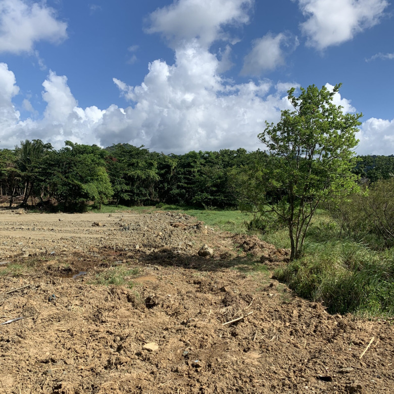 Land For Sale In Cul De Sac