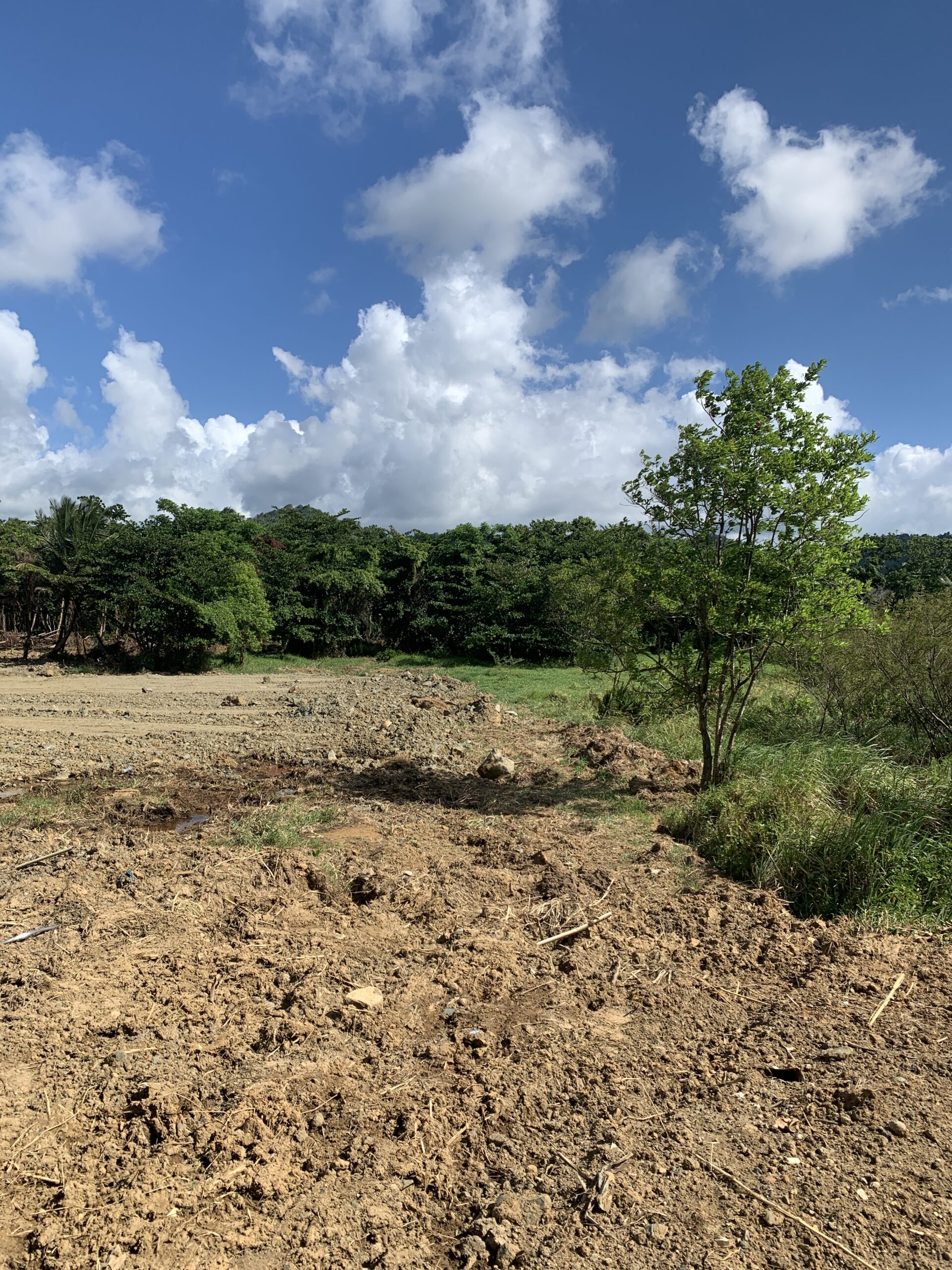 Land For Sale In Cul De Sac
