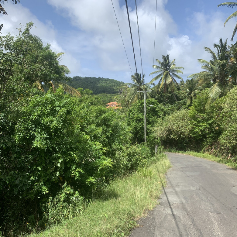 Land For Sale In River Mitant