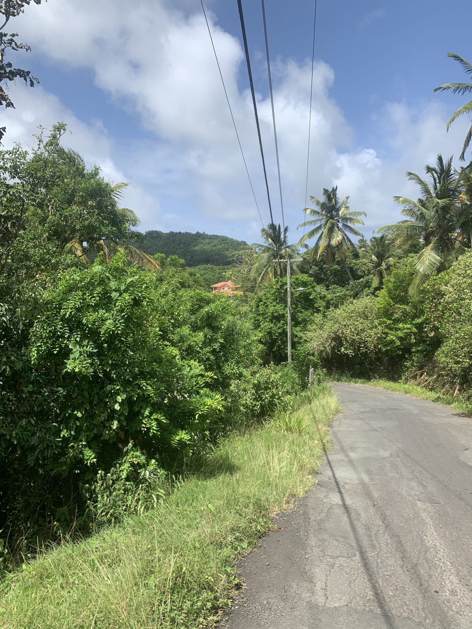 Land For Sale In River Mitant