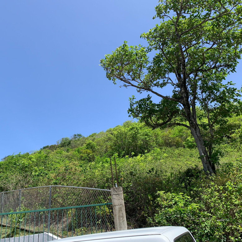 Land For Sale In Cas En Bas