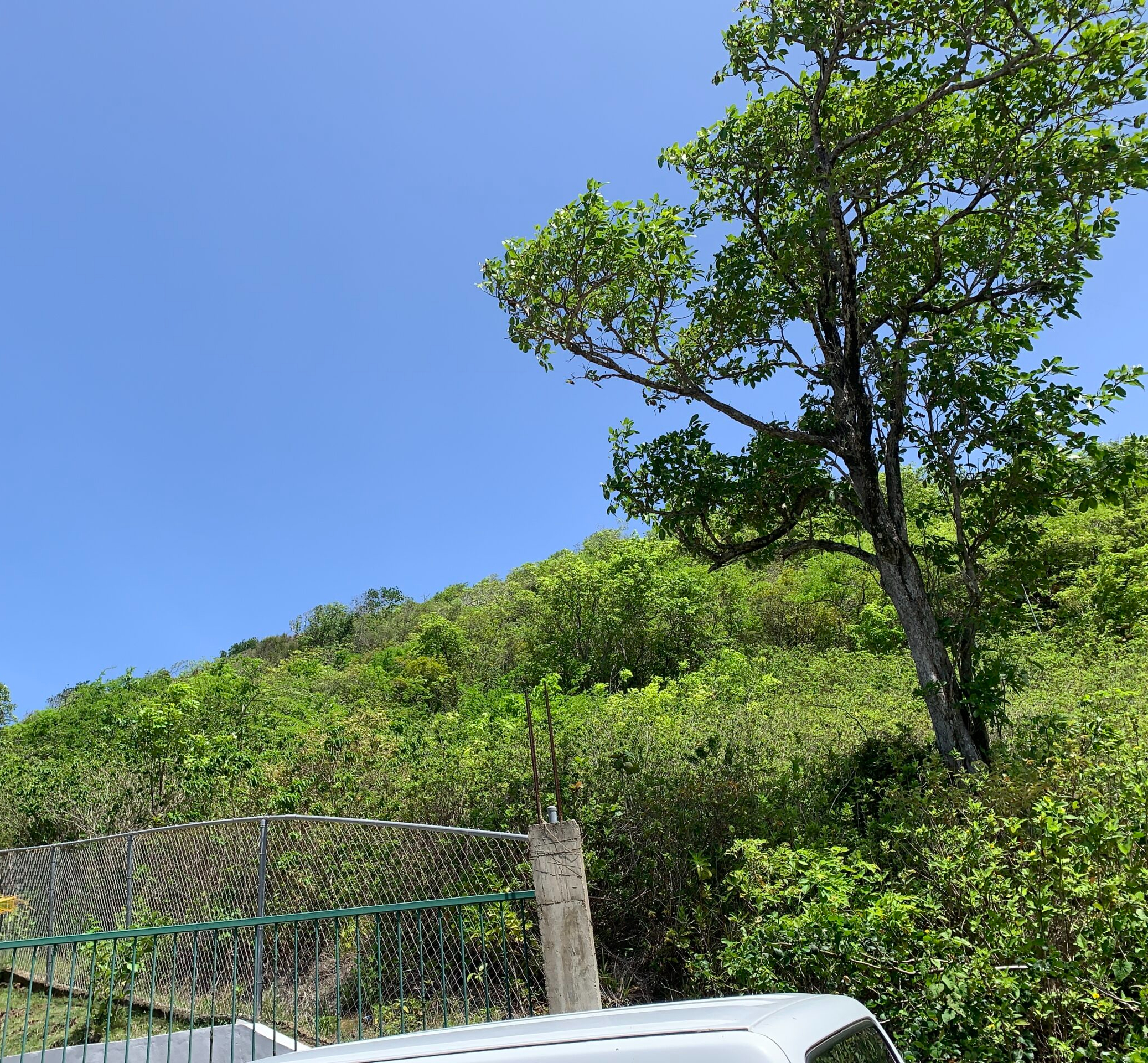 Land For Sale In Cas En Bas