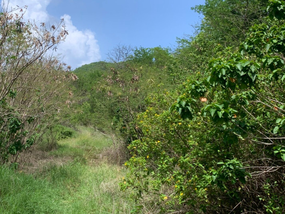 Land For Sale In Cas En Bas