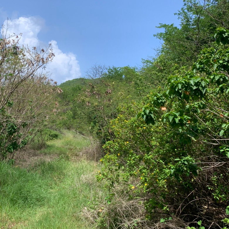Land For Sale In Cas En Bas