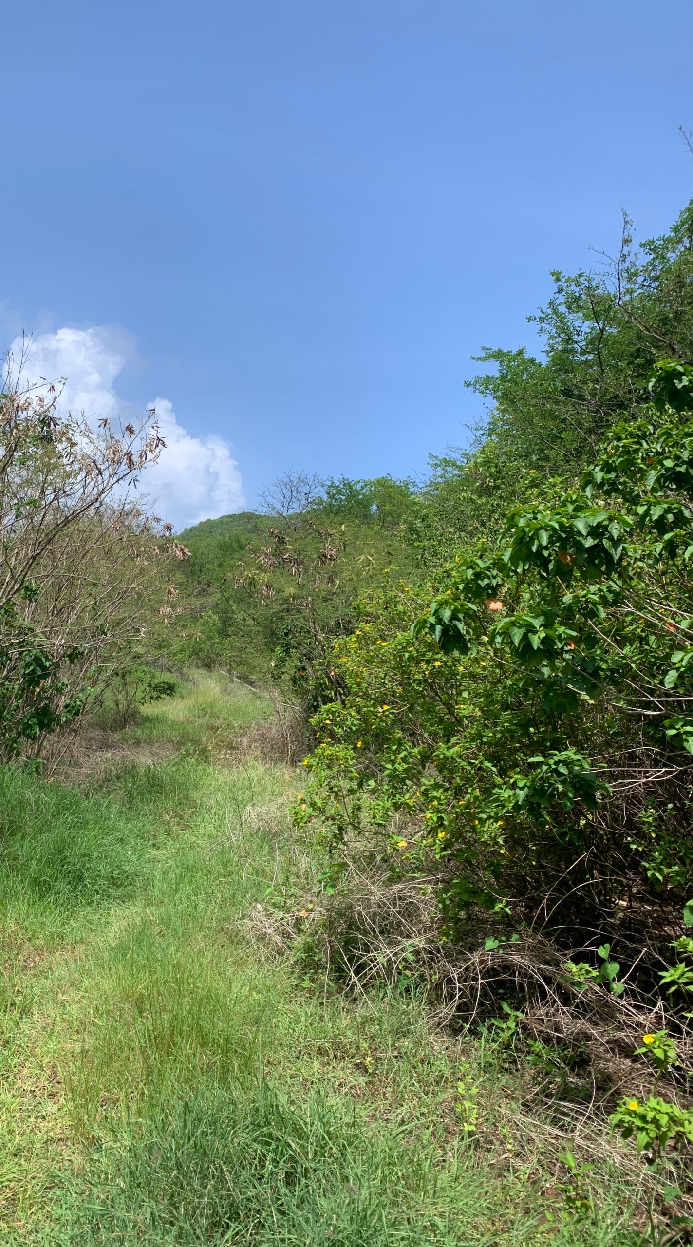 Land For Sale In Cas En Bas