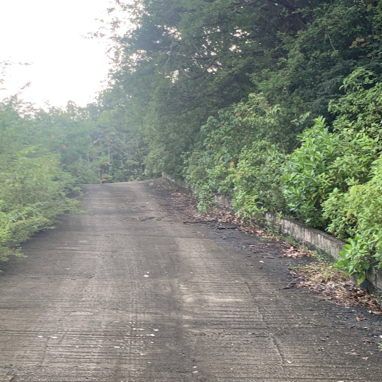 Land For Sale In La Caye