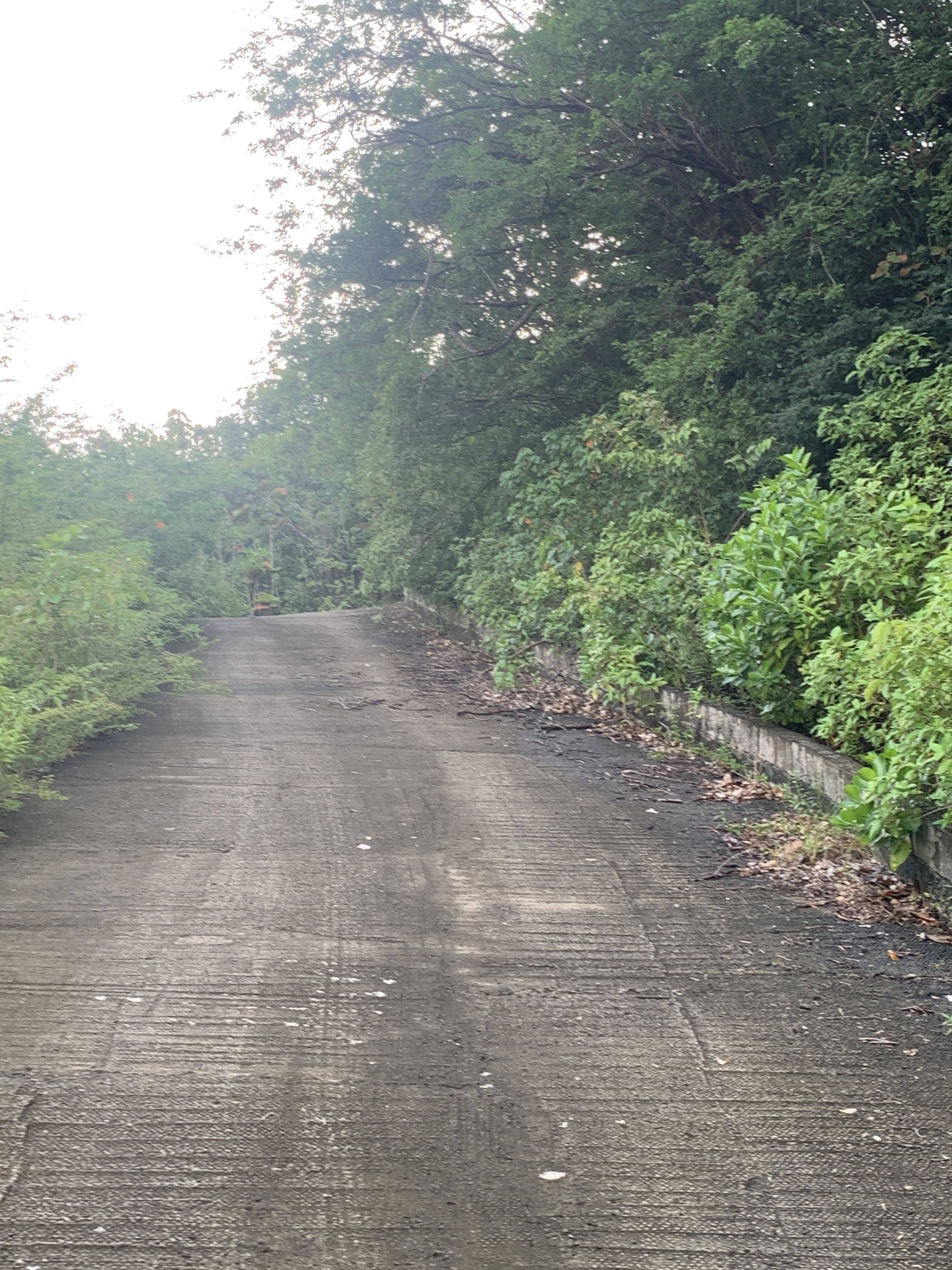 Land For Sale In La Caye