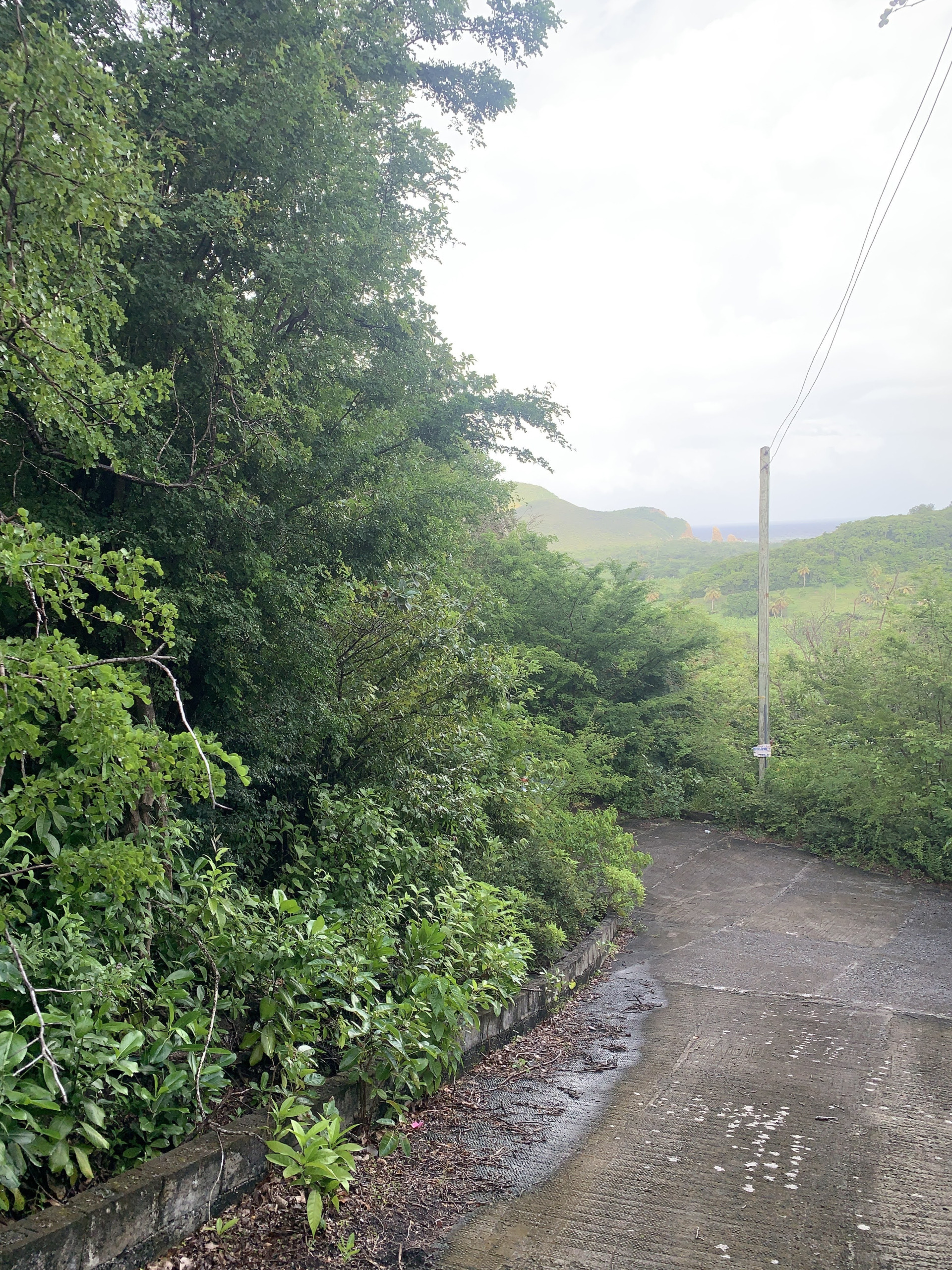 Land For Sale In La Caye