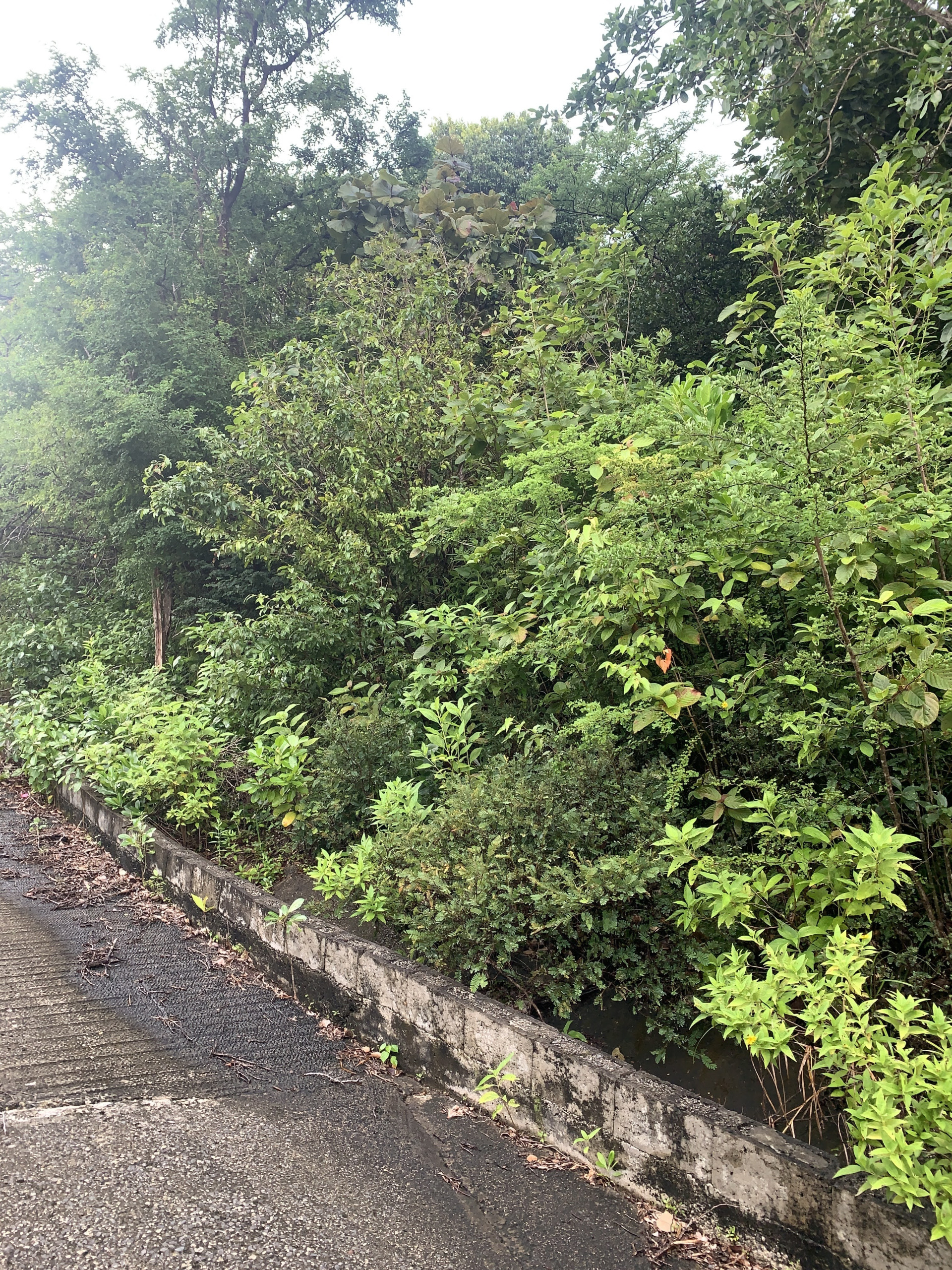 Land For Sale In La Caye