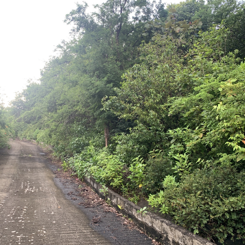 Land For Sale In La Caye