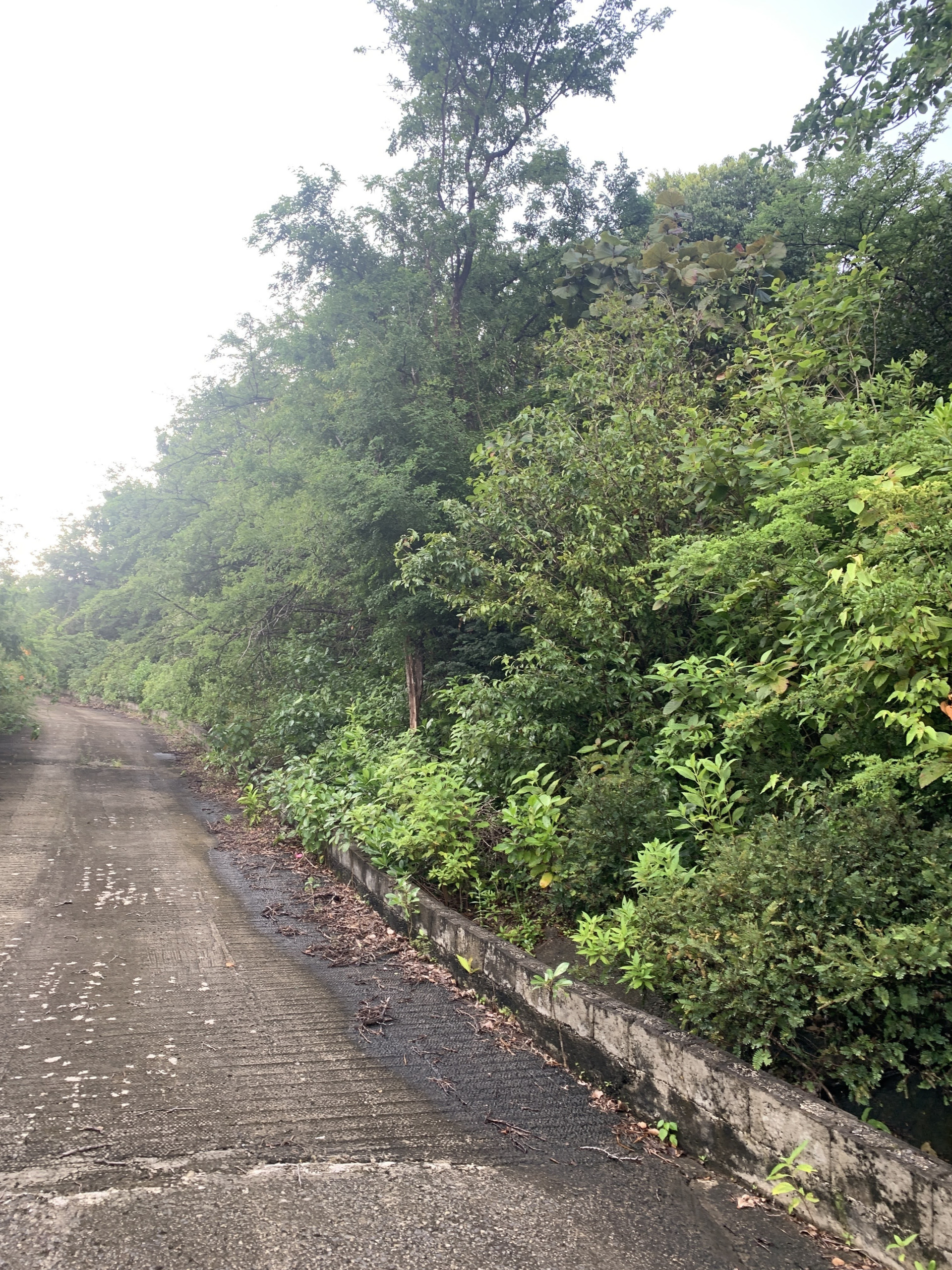 Land For Sale In La Caye
