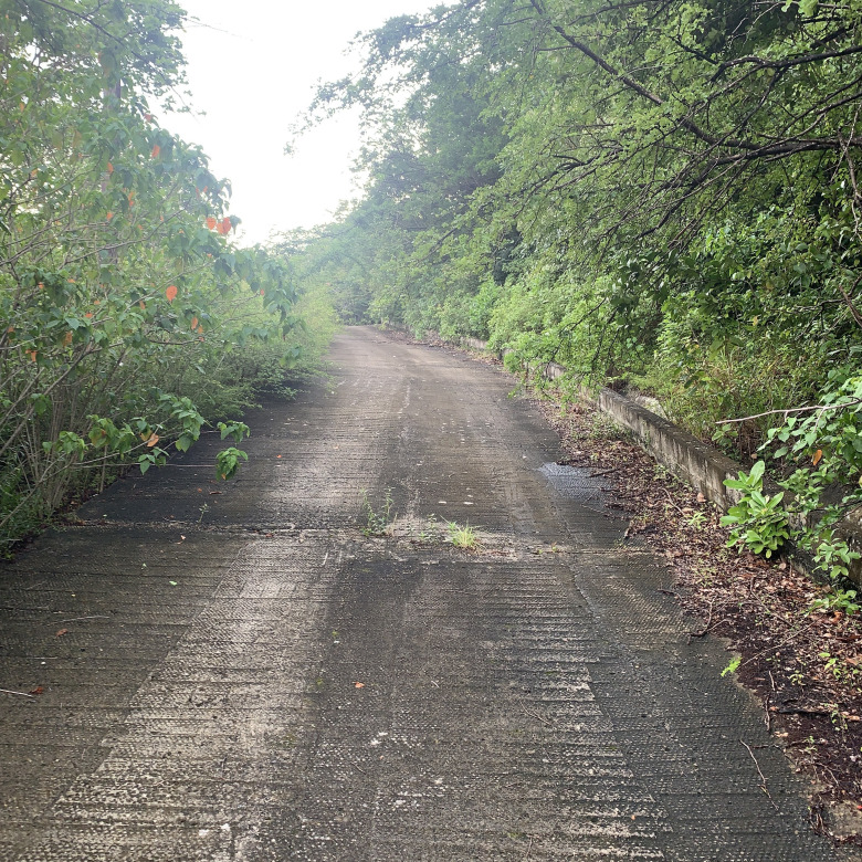 Land For Sale In La Caye