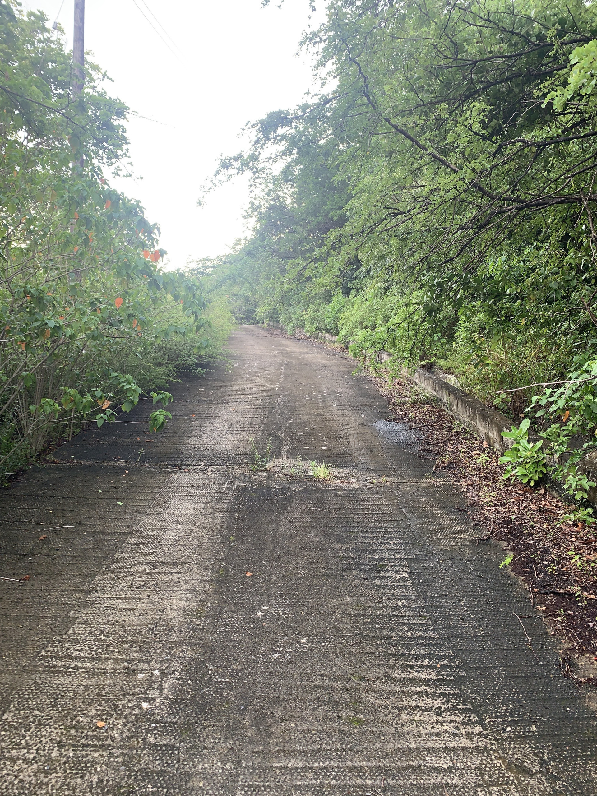 Land For Sale In La Caye