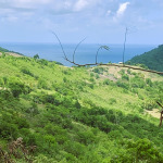 Land For Sale In Monchy With Ocean View