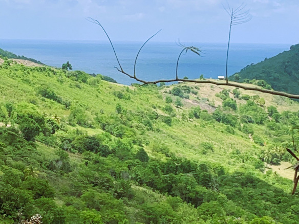 Land For Sale In Monchy With Ocean View