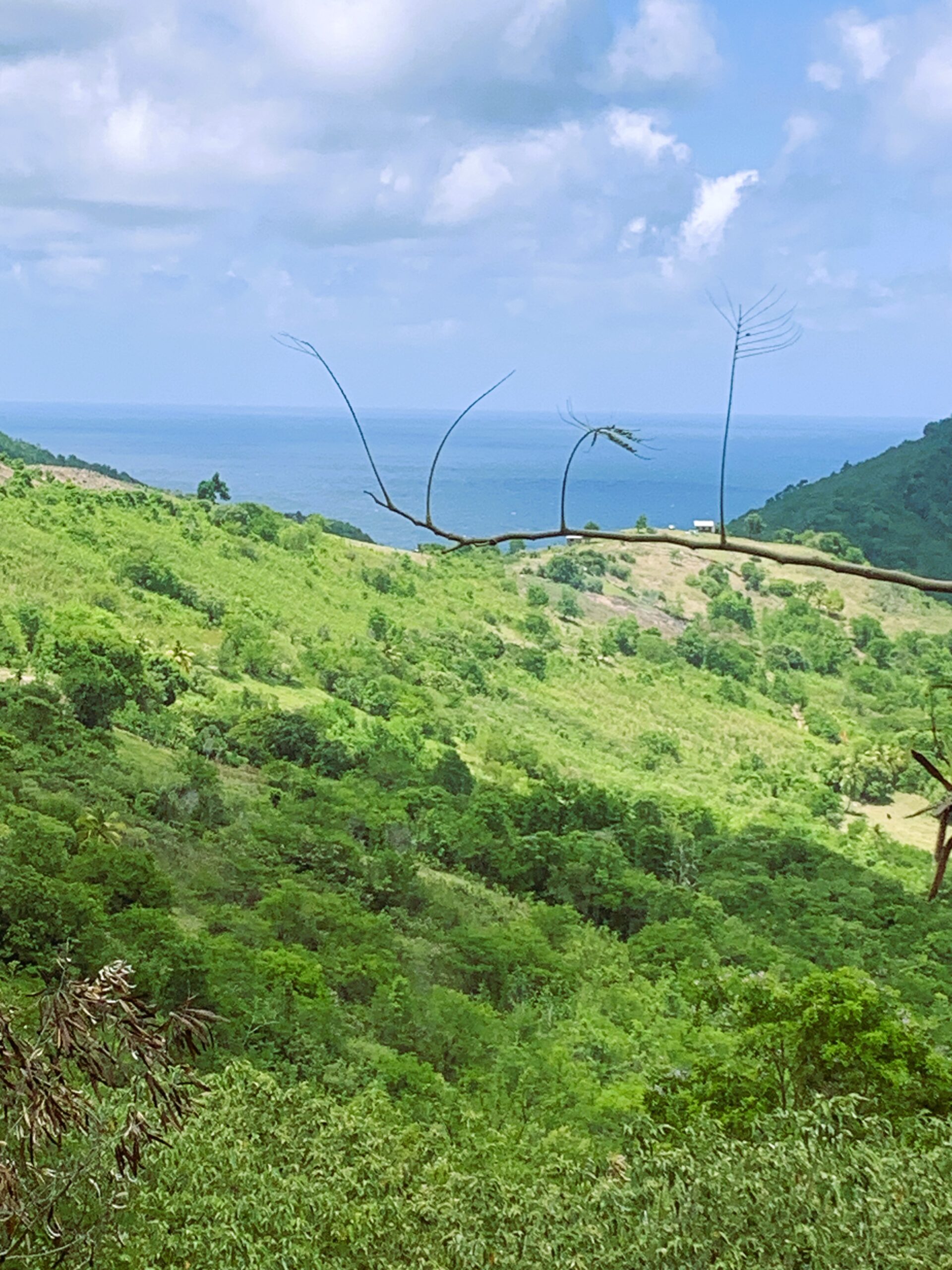 Land For Sale In Monchy With Ocean View