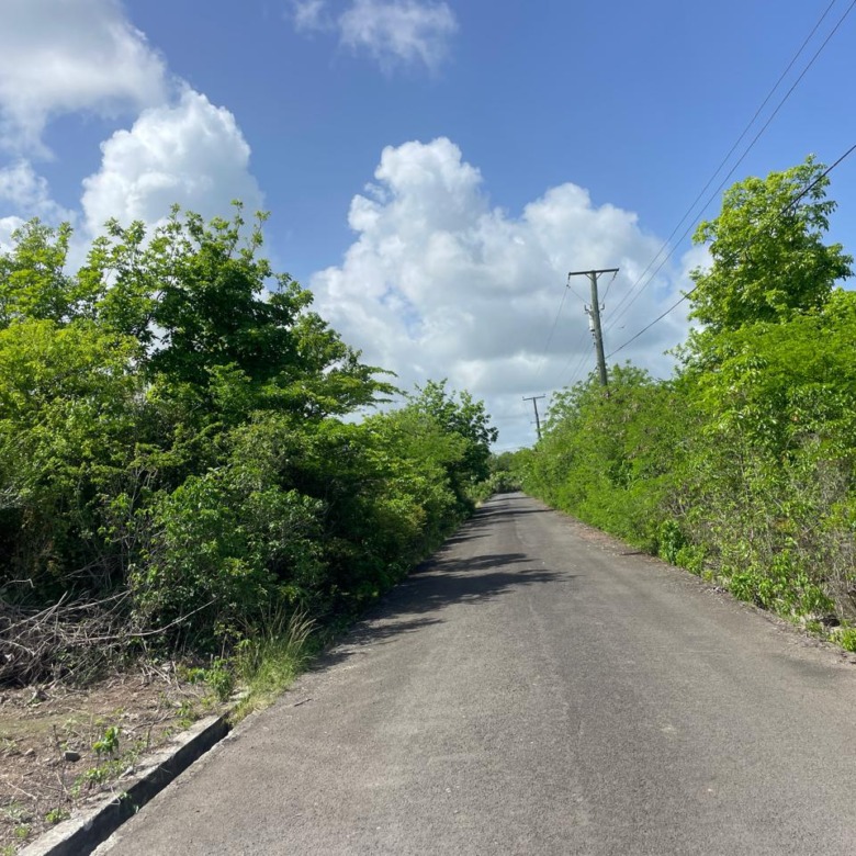 Land For Sale in Vieux Fort Black Bay road