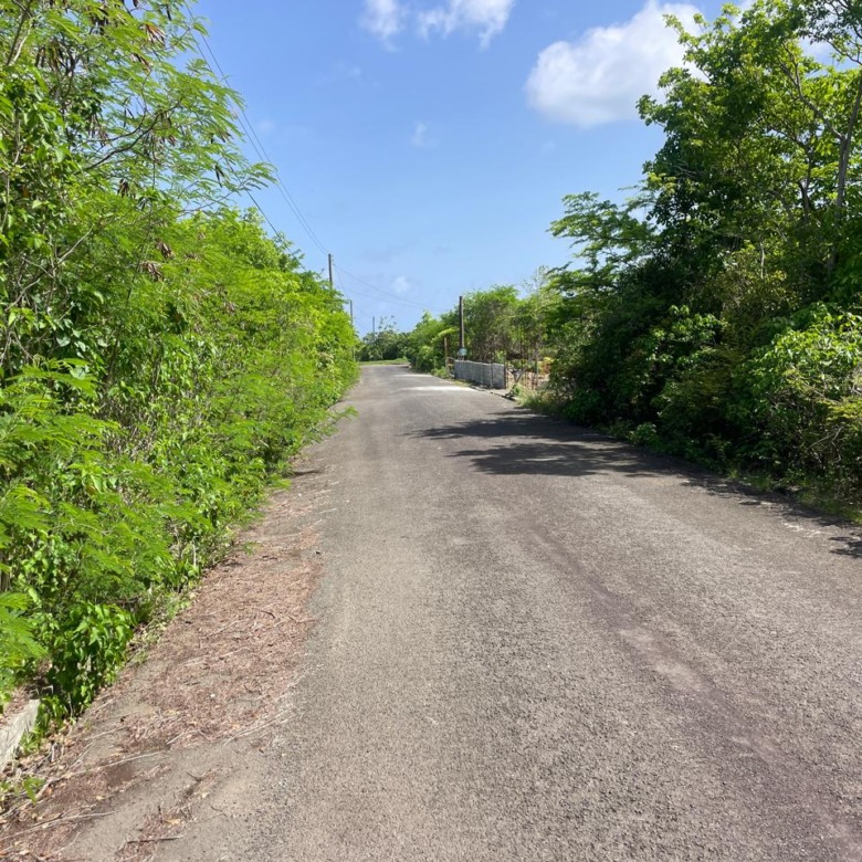 Land For Sale in Vieux Fort Black Bay west indies