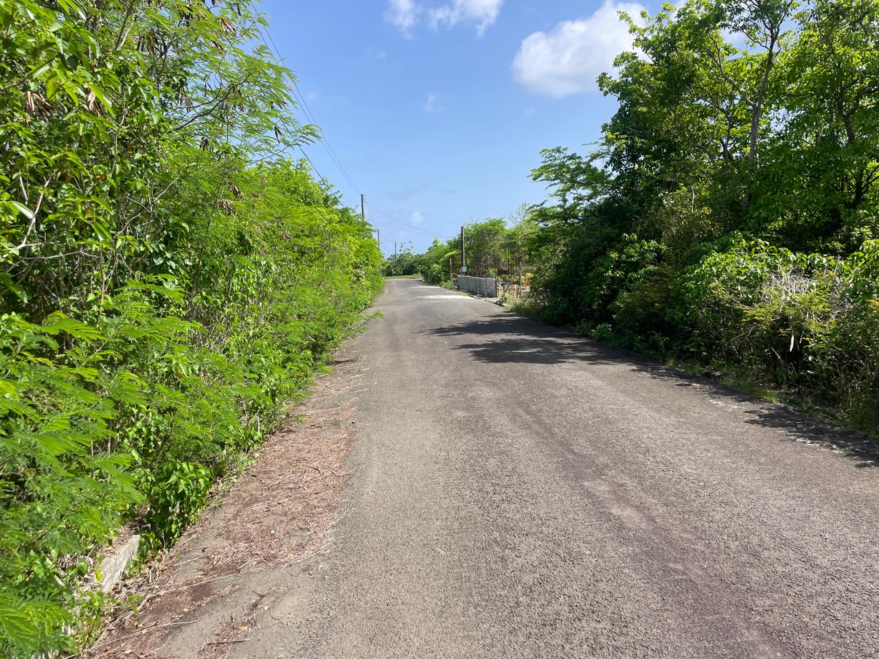 Land For Sale in Vieux Fort Black Bay west indies