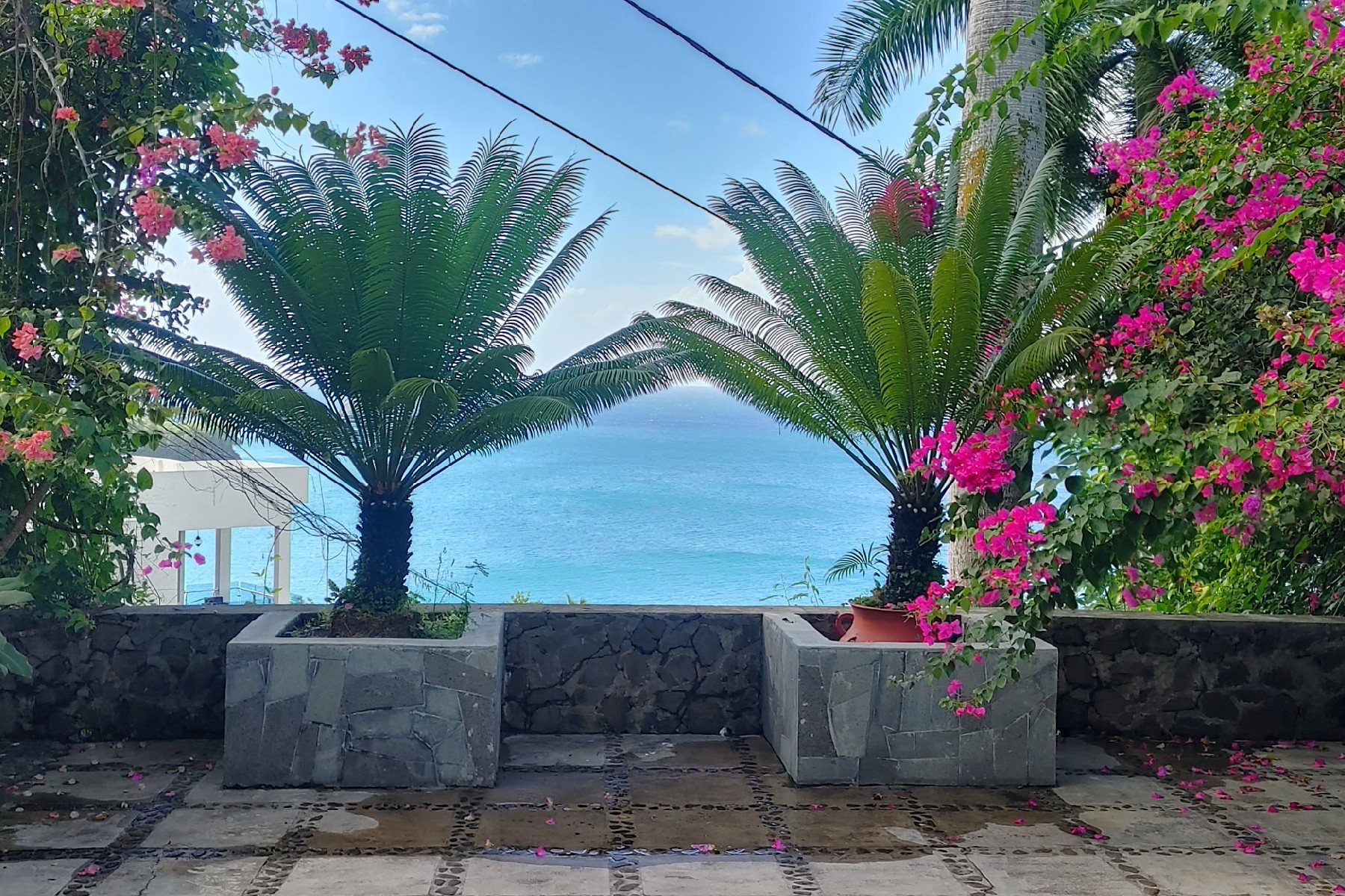 butterfly house st lucia real estate for sale