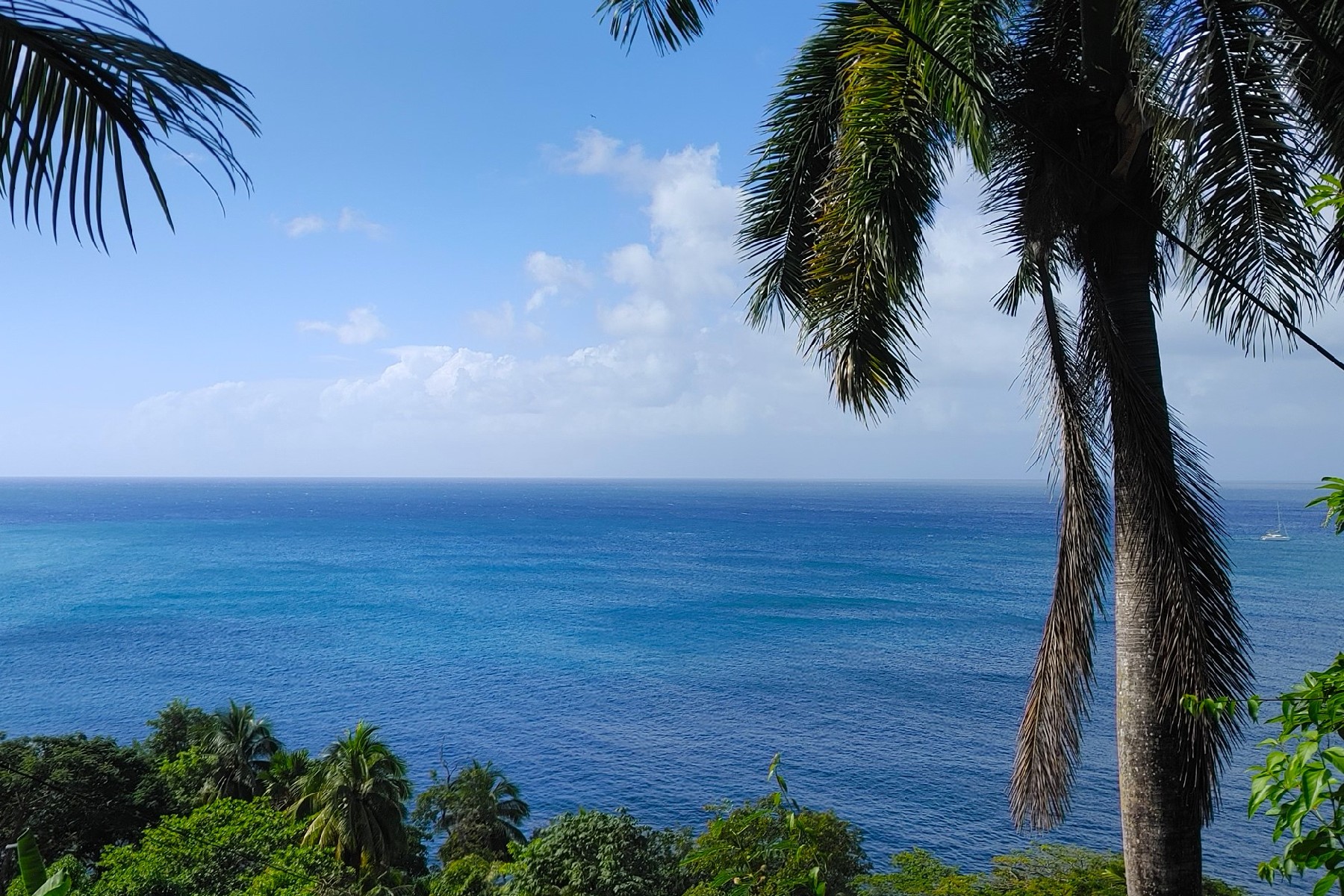 butterfly house st lucia real estate sea view