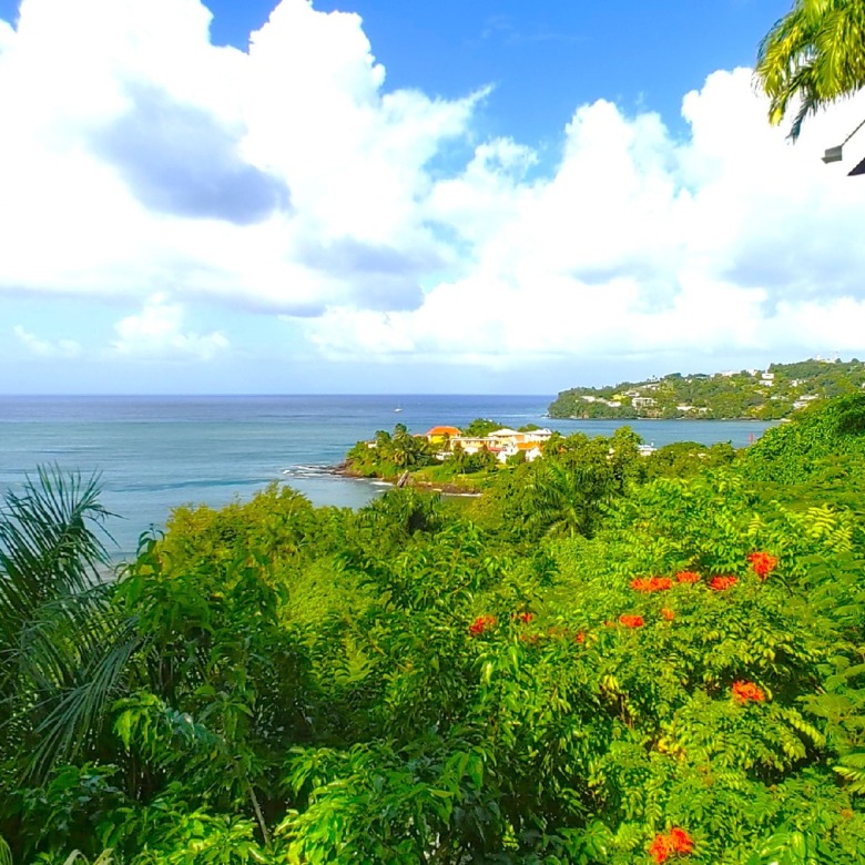 butterfly house st lucia real estate beach view