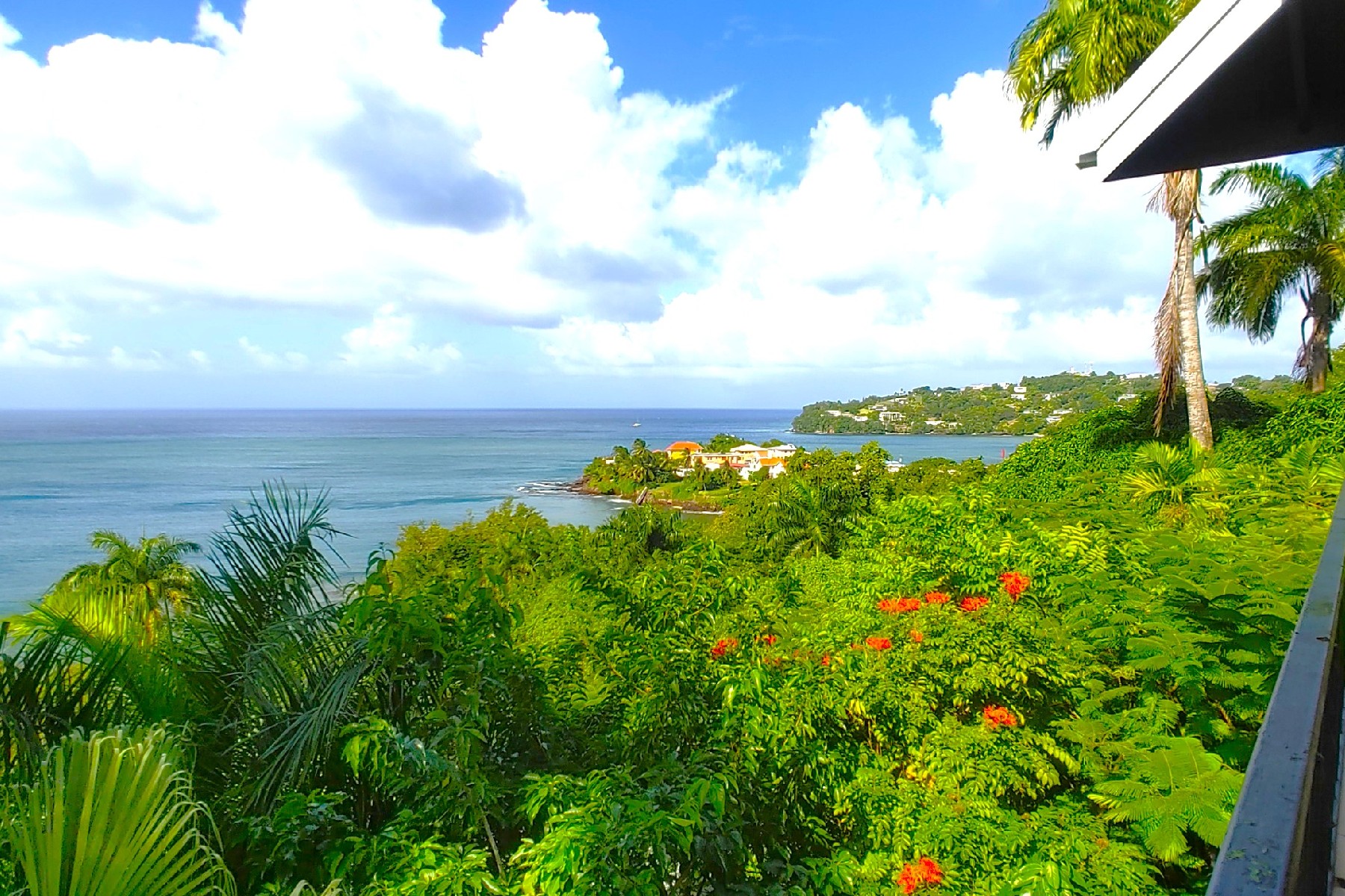 butterfly house st lucia real estate beach view
