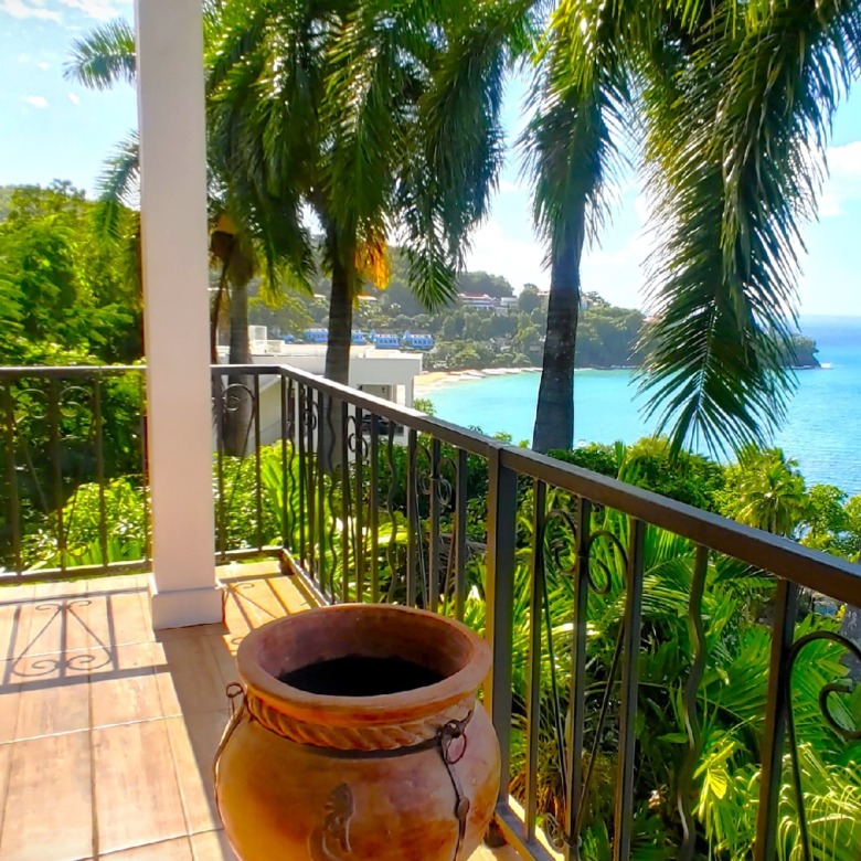 butterfly house st lucia real estate patio palms