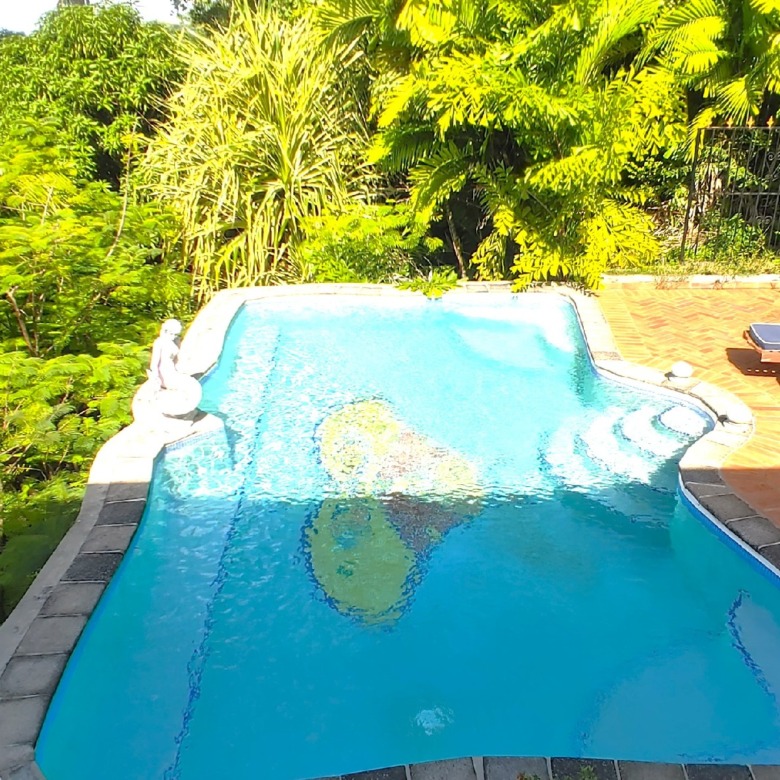 butterfly house st lucia real estate pool