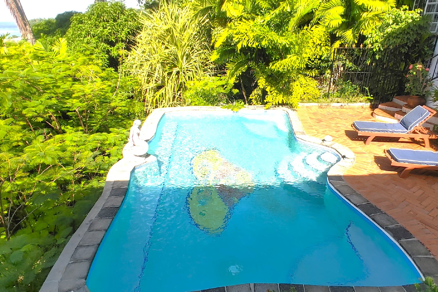 butterfly house st lucia real estate pool