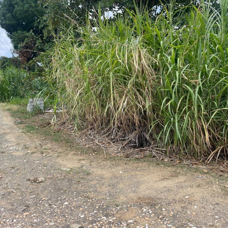 Prime Lot For Sale in Dennery Valley