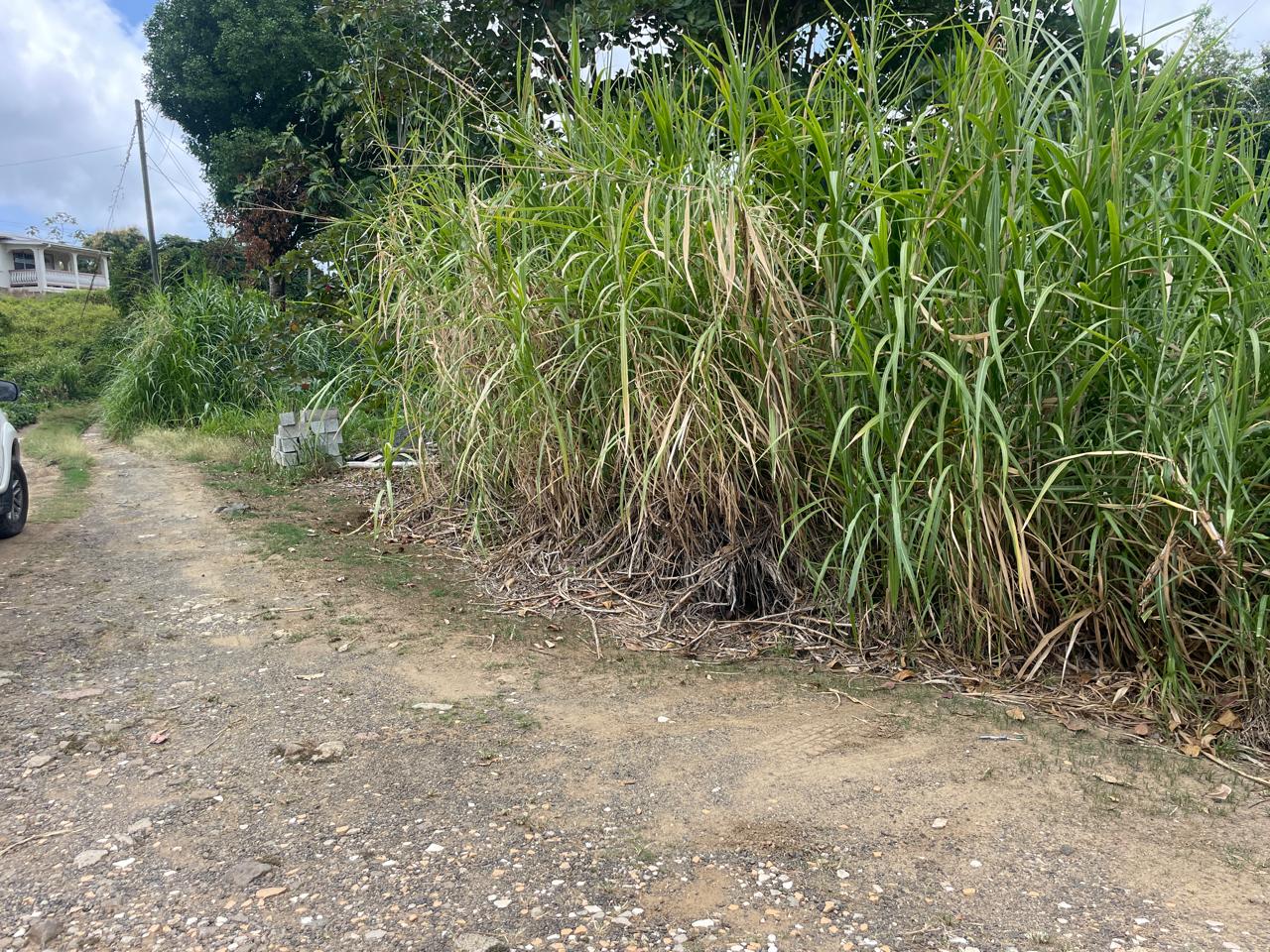 Prime Lot For Sale in Dennery Valley