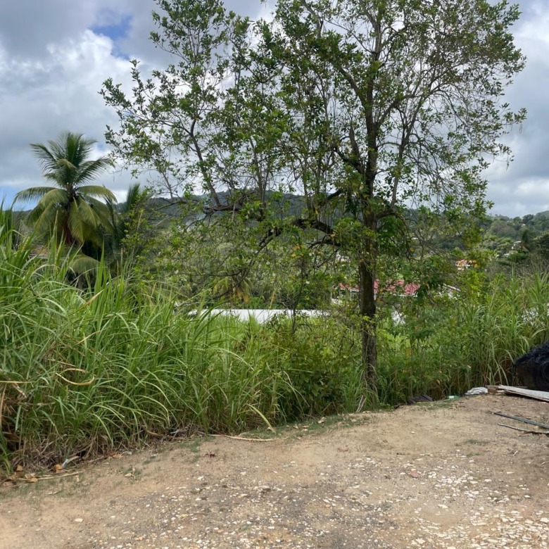land for sale st lucia dennery valley