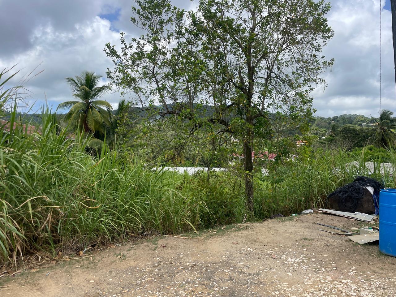 land for sale st lucia dennery valley