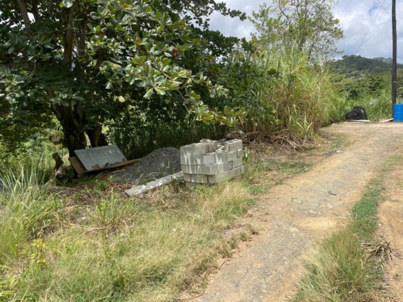 Prime Lot For Sale in Dennery Valley St lucia