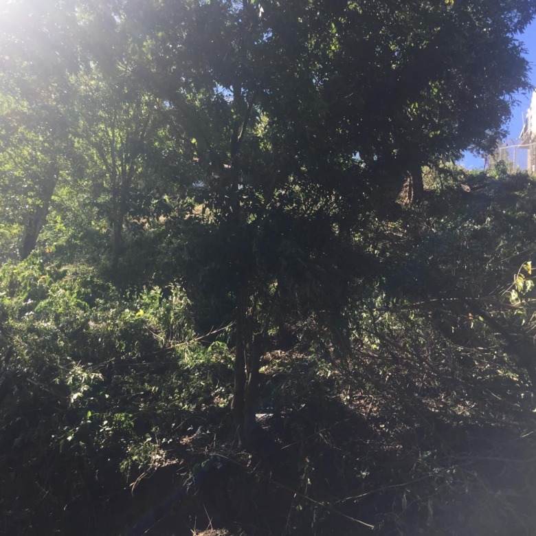 Land For Sale at Cap Estate 14381 SF