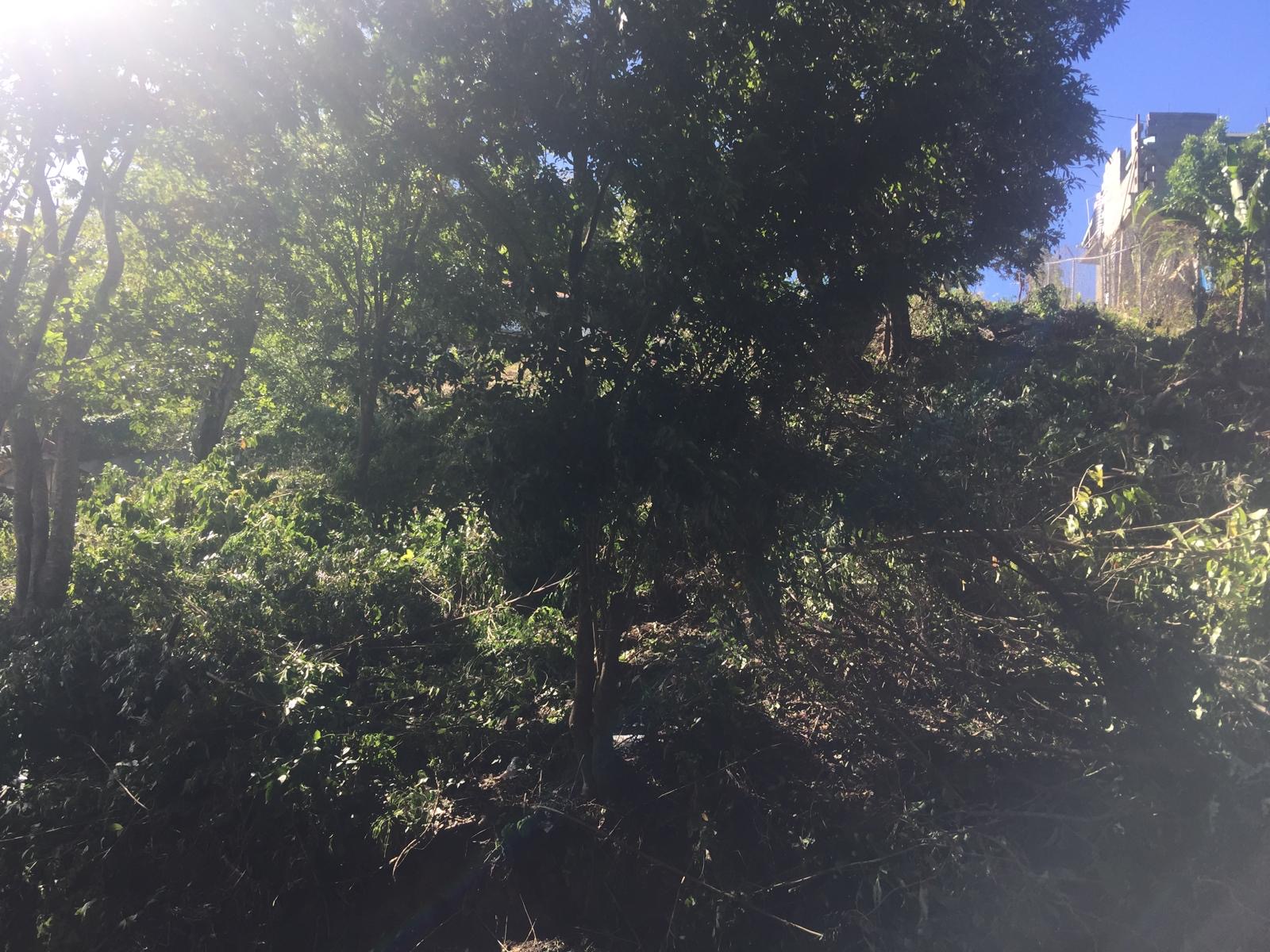 Land For Sale at Cap Estate 14381 SF with golf view