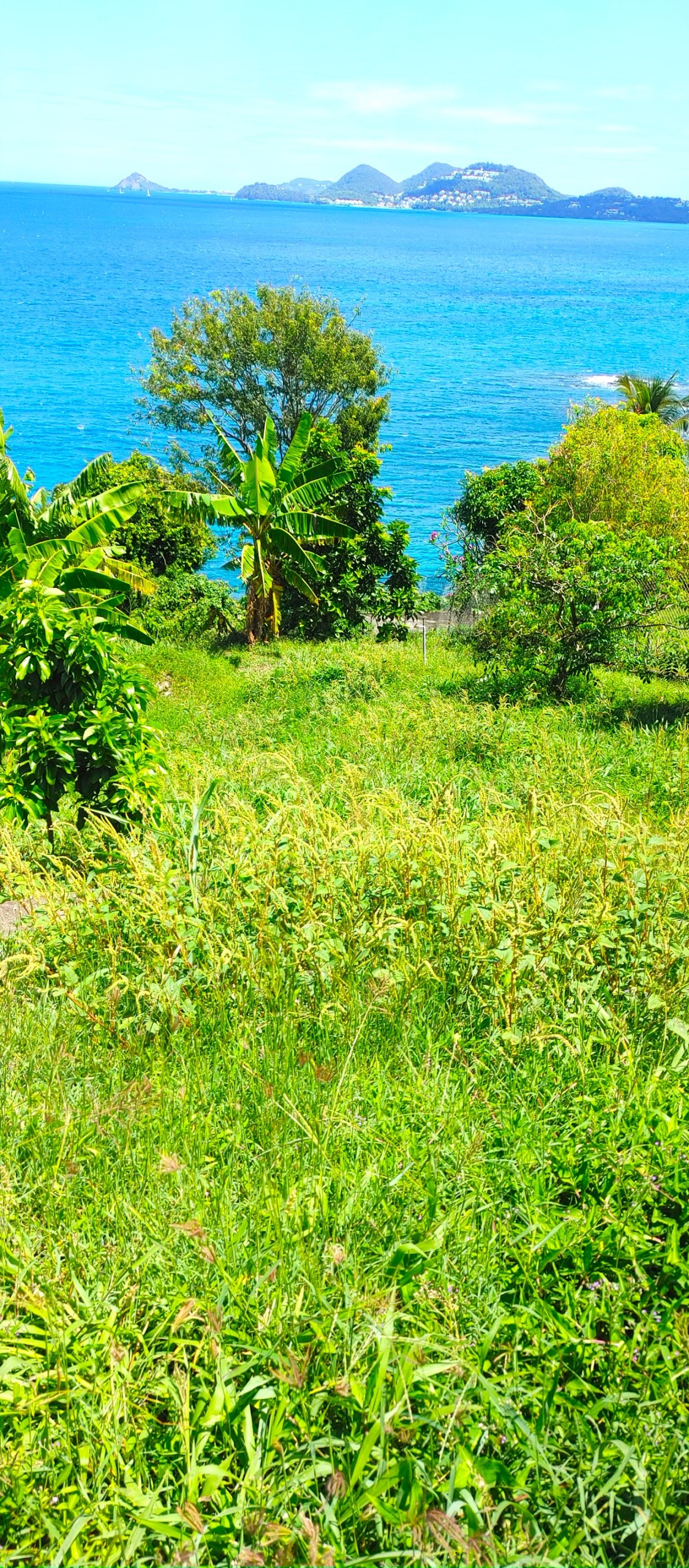 St Lucia real estate Waterfront Land Overlooking the Caribbean Sea grass