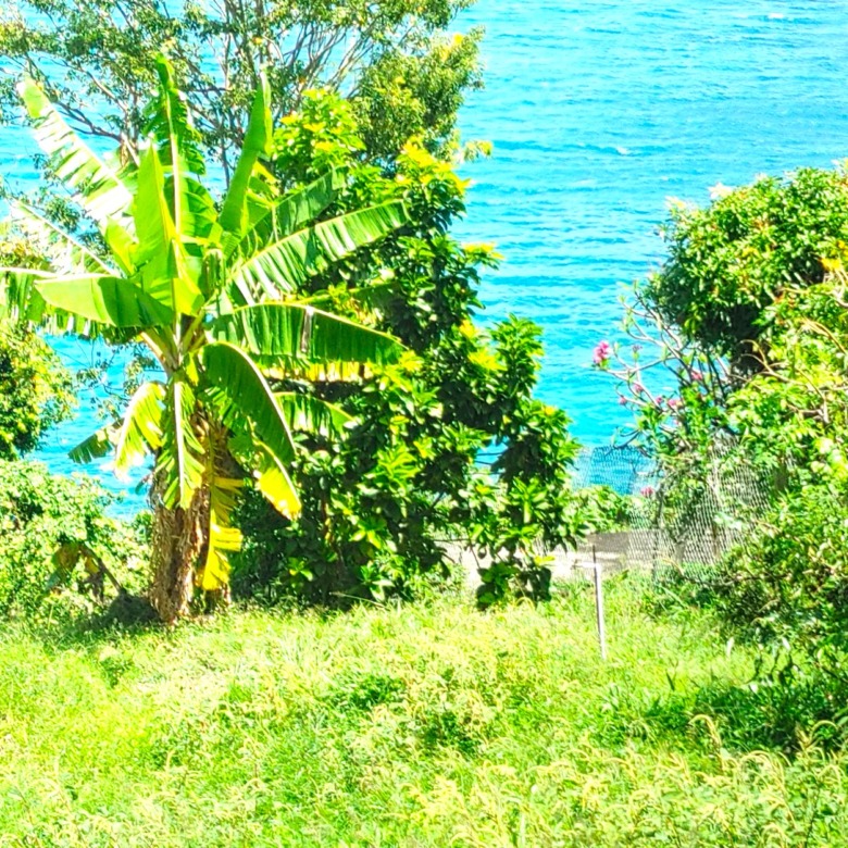 St Lucia real estate Waterfront Land Overlooking the Caribbean Sea slope