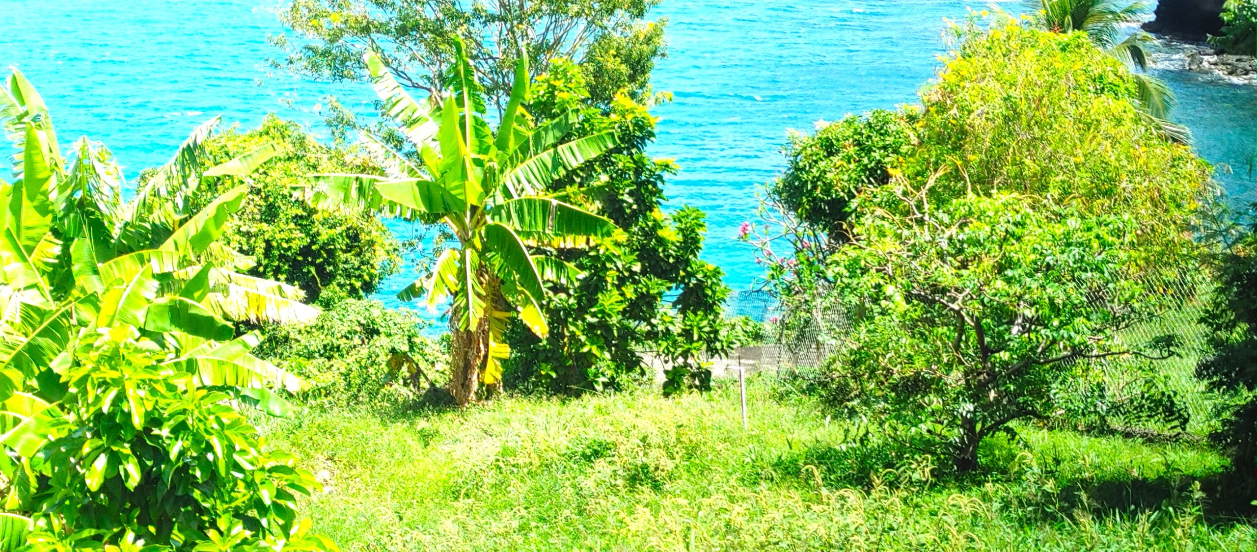 St Lucia real estate Waterfront Land Overlooking the Caribbean Sea slope